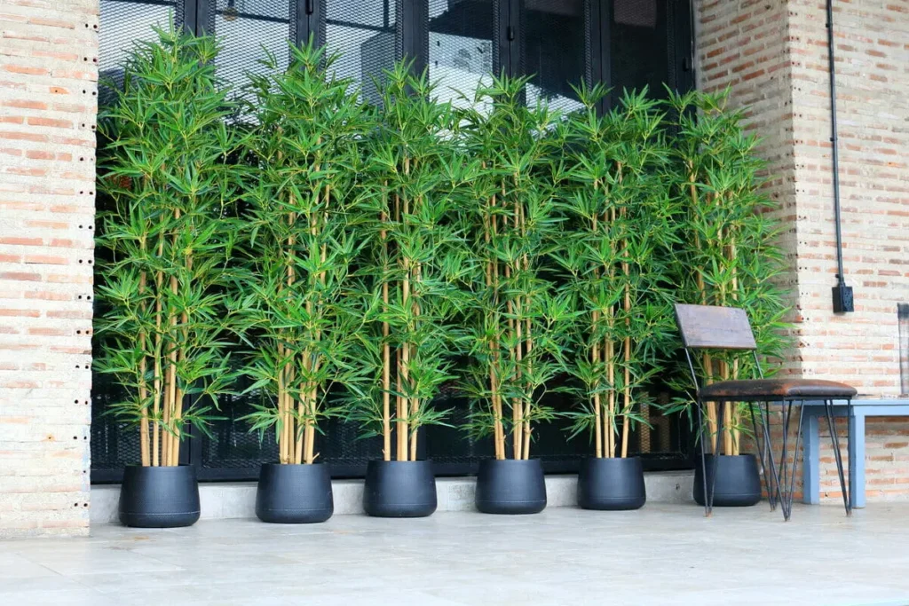 Use_artificial_bamboo_plants_outdoors-1